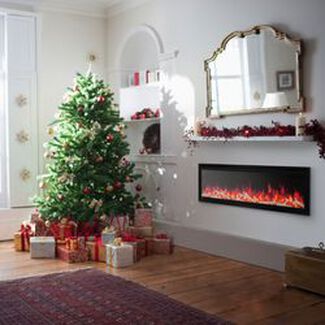 2025 Napoleon 20% Off Media Only